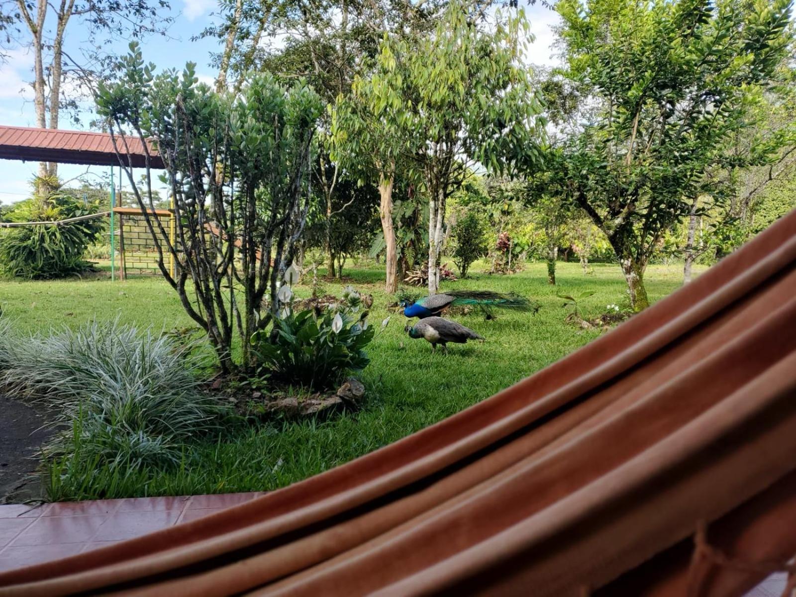 La Quinta De Andres Hotel San Isidro  Bagian luar foto