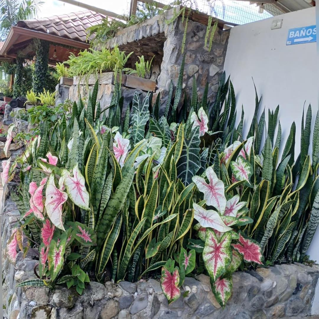 La Quinta De Andres Hotel San Isidro  Bagian luar foto